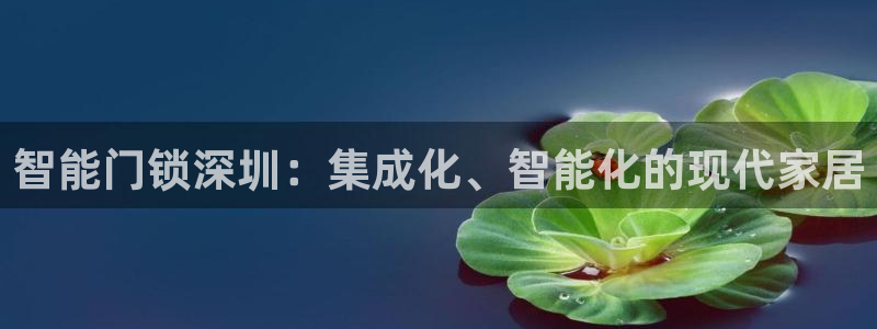 富联娱乐官网下载安卓版：智能门锁深圳：集成化、智能化的现代家