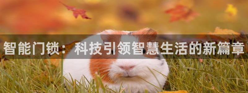富联娱乐总代理电话号码