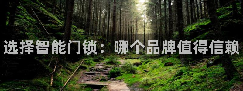 富联娱乐公司简介图片：选择智能门锁：哪个品牌值得信赖