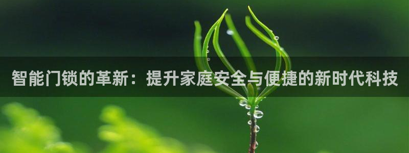 富联娱乐招商测判官333OO：智能门锁的革新：提升家庭安全与