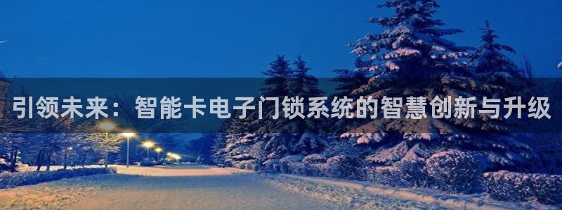 富联2娱乐：引领未来：智能卡电子门锁系统的智慧创新与升级