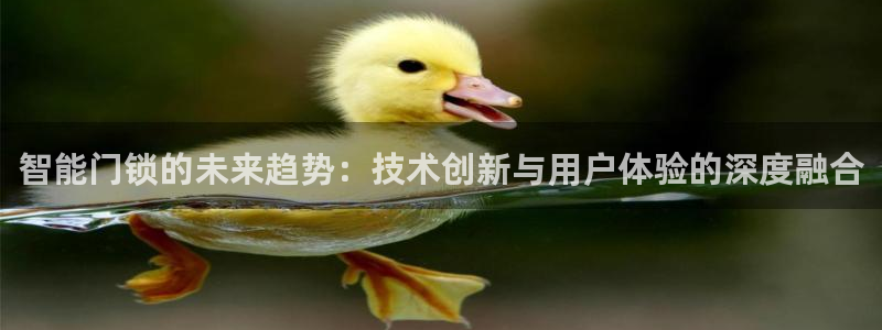 富联娱乐测速登录：智能门锁的未来趋势：技术创新与用户体验的深