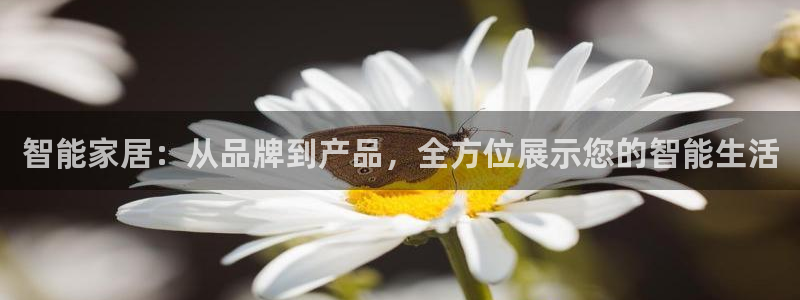 富联娱乐注册计判官333OO：智能家居：从品牌到产品，全方位