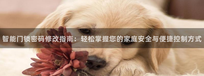 富联娱乐官方网站入口下载：智能门锁密码修改指南：轻松掌握您的