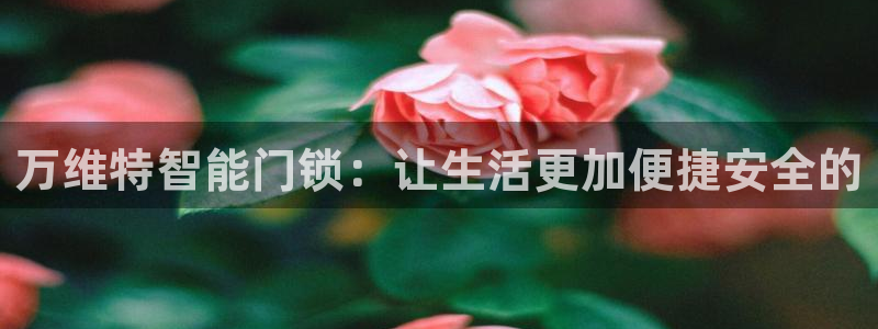 富联娱乐总裁简介图片：万维特智能门锁：让生活更加便捷安全的