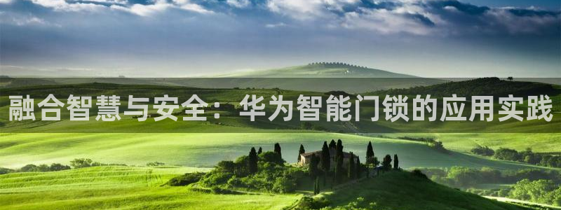 富联娱乐客户端：融合智慧与安全：华为智能门锁的应用实践