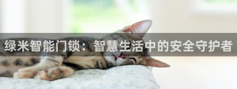 富联娱乐测速地址是什么：绿米智能门锁：智慧生活中的安全守护者