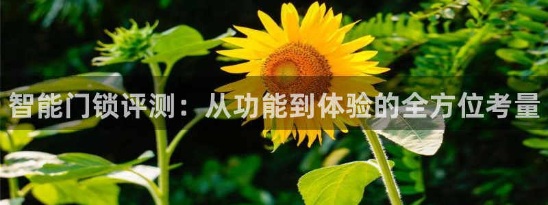 富联娱乐官网登录入口：智能门锁评测：从功能到体验的全方位考量