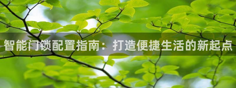 富联娱乐客户端怎么下载：智能门锁配置指南：打造便捷生活的新起