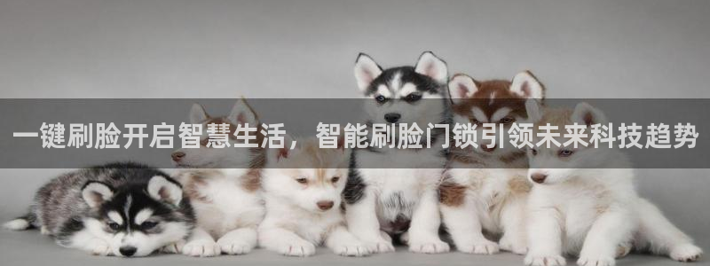 富联娱乐乃67五壹叁八：一键刷脸开启智慧生活，智能刷脸门锁引