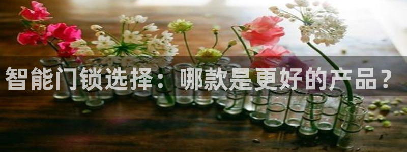富联娱乐账号注册流程：智能门锁选择：哪款是更好的产品？