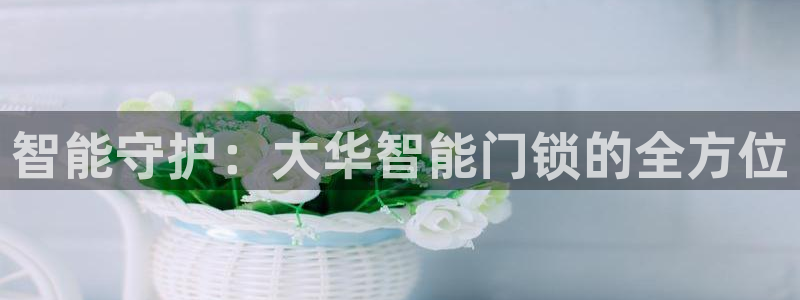 富联娱乐在线注册链接是什么意思：智能守护：大华智能门锁的全方