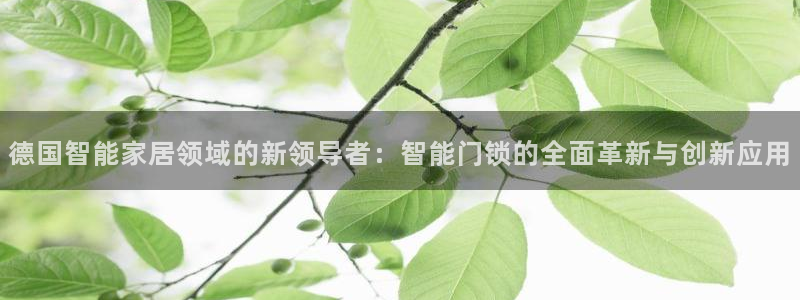 富联娱乐代理是谁做的呀：德国智能家居领域的新领导者：智能门锁