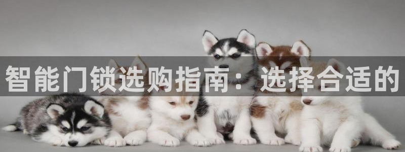 富联娱乐注册量判官333OO：智能门锁选购指南：选择合适的