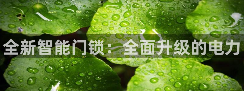 富联娱乐代理是谁：全新智能门锁：全面升级的电力