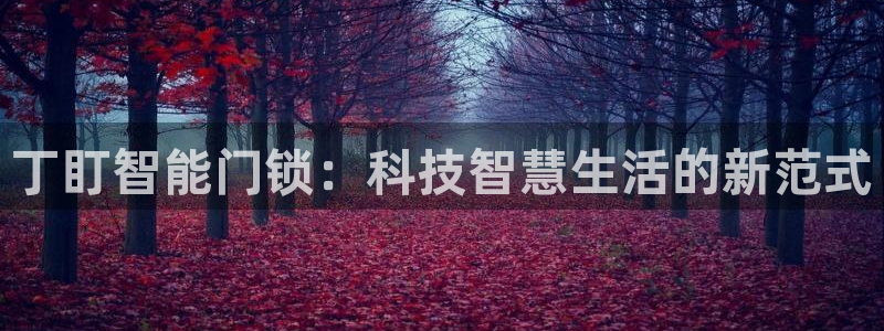富联娱乐图7O777：丁盯智能门锁：科技智慧生活的新范式