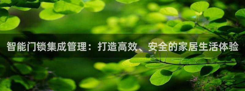 富联2娱乐：智能门锁集成管理：打造高效、安全的家居生活体验