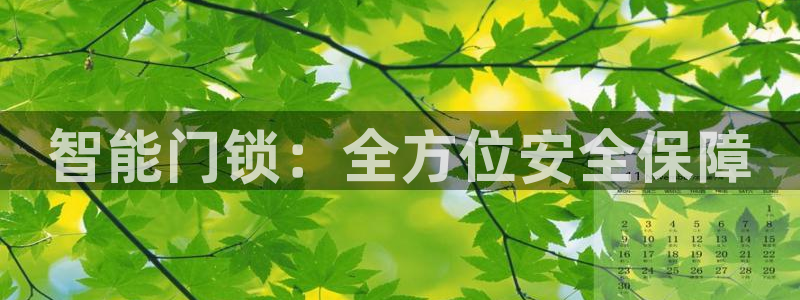 富联娱乐他37997筘：智能门锁：全方位安全保障