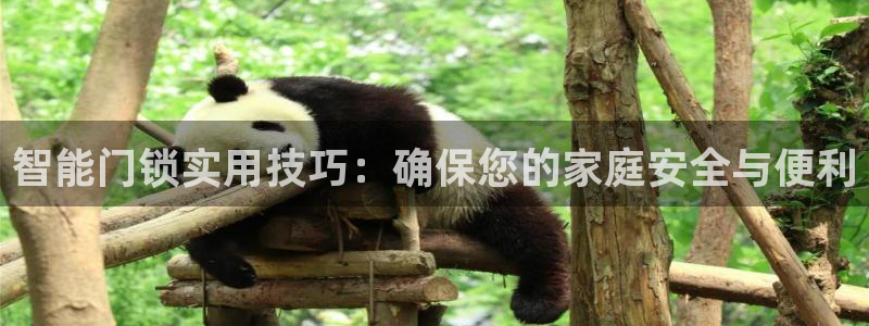 富联娱乐登录入口：智能门锁实用技巧：确保您的家庭安全与便利