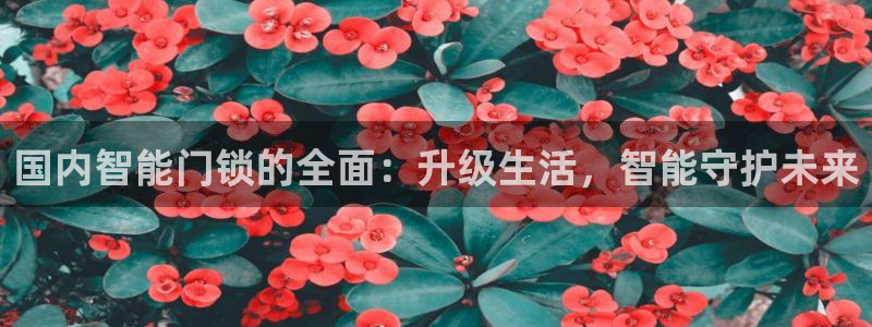 富联娱乐寸六七五一38：国内智能门锁的全面：升级生活，智能守