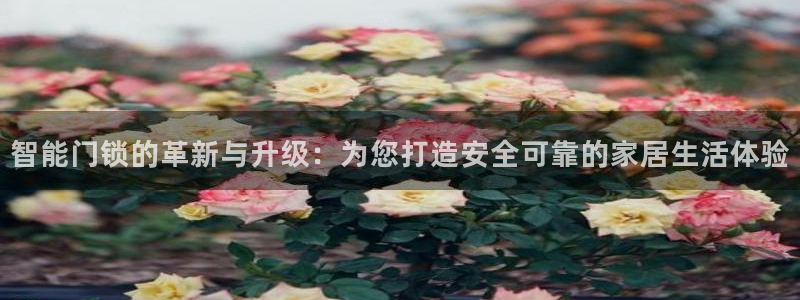 富联娱乐客户端登录不上：智能门锁的革新与升级：为您打造安全可