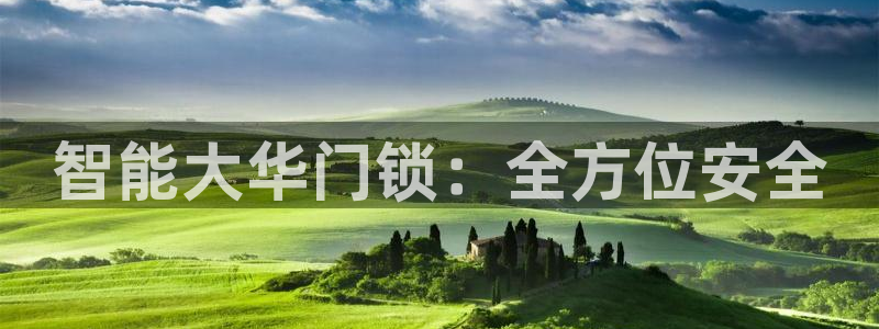 富联娱乐322901：智能大华门锁：全方位安全