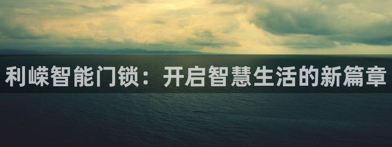 富联娱乐是真的吗：利嵘智能门锁：开启智慧生活的新篇章
