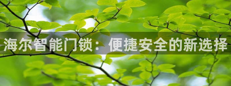 富联娱乐若七九九47：海尔智能门锁：便捷安全的新选择