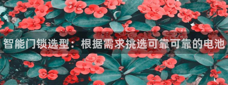 富联娱乐平台官网：智能门锁选型：根据需求挑选可靠可靠的电池
