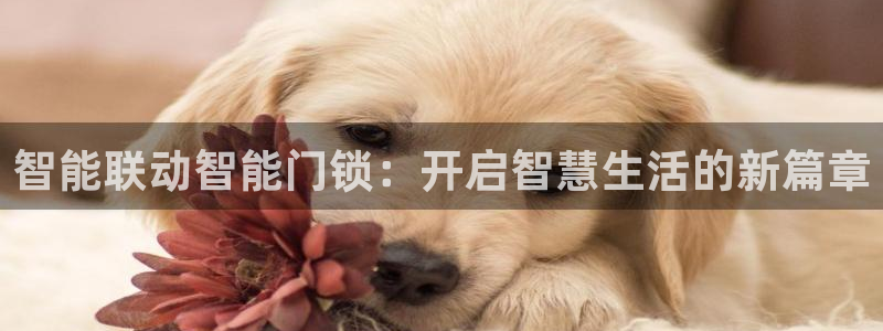 富联娱乐平台