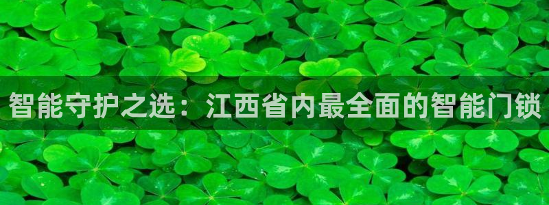 富联娱乐平台注册流程：智能守护之选：江西省内最全面的智能门锁