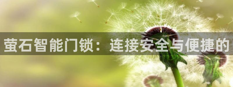 富联娱乐首页在哪找：萤石智能门锁：连接安全与便捷的