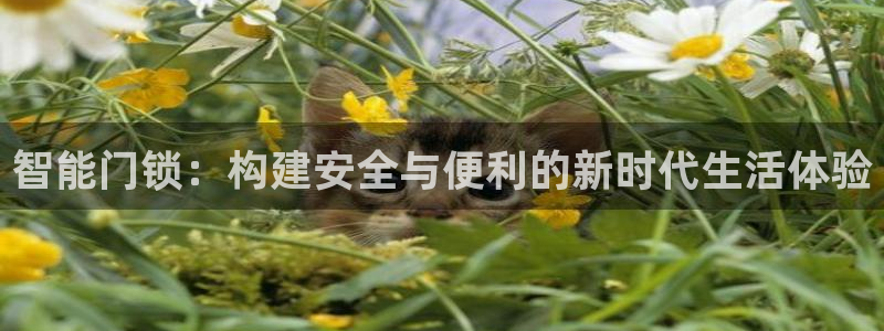 富联娱乐平台登录不了了：智能门锁：构建安全与便利的新时代生活