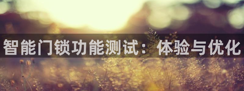 富联2娱乐平台注册：智能门锁功能测试：体验与优化