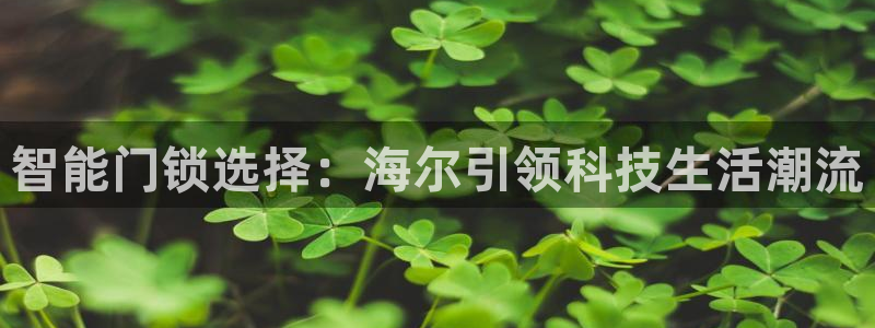 富联娱乐app官方下载安装：智能门锁选择：海尔引领科技生活潮