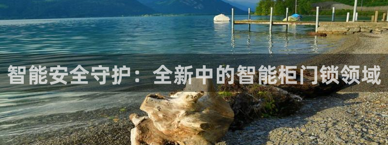 富联娱乐招商包判官333OO：智能安全守护：全新中的智能柜门