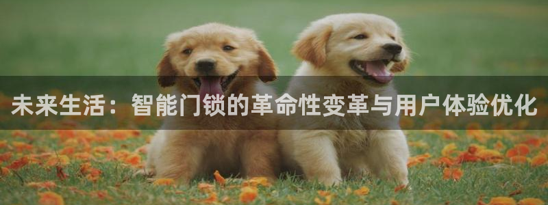 富联娱乐主管续判官333OO