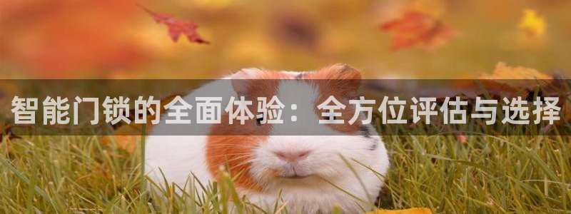 富联娱乐首页登录：智能门锁的全面体验：全方位评估与选择
