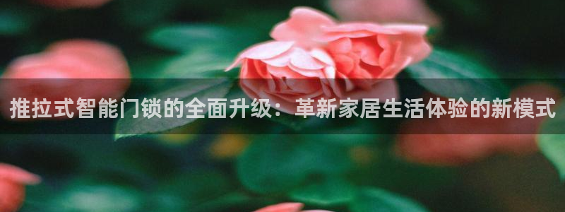 富联娱乐客户端下载：推拉式智能门锁的全面升级：革新家居生活体