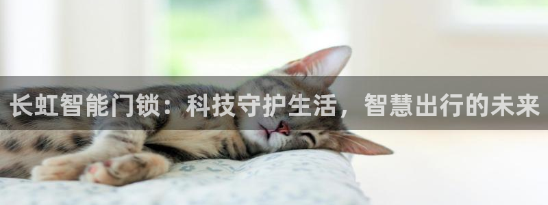富联娱乐主营业务有哪些：长虹智能门锁：科技守护生活，智慧出行