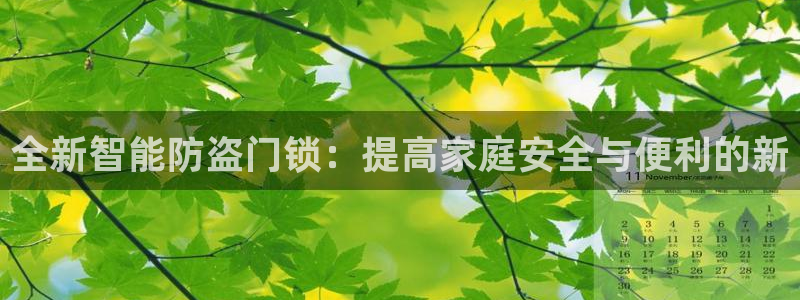 富联娱乐app官方下载最新版：全新智能防盗门锁：提高家庭安全