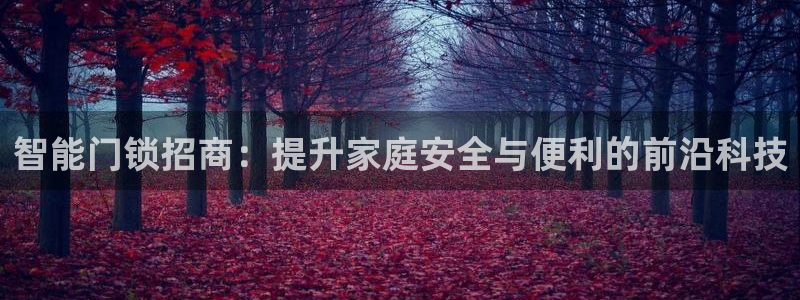 富联娱乐受究7276O：智能门锁招商：提升家庭安全与便利的前