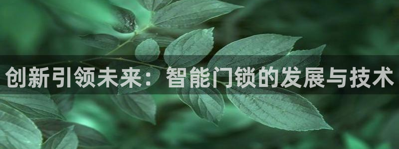 富联娱乐平台下载官网：创新引领未来：智能门锁的发展与技术