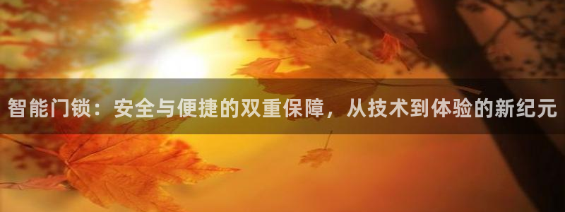 富联娱乐最稳定app：智能门锁：安全与便捷的双重保障，从技术