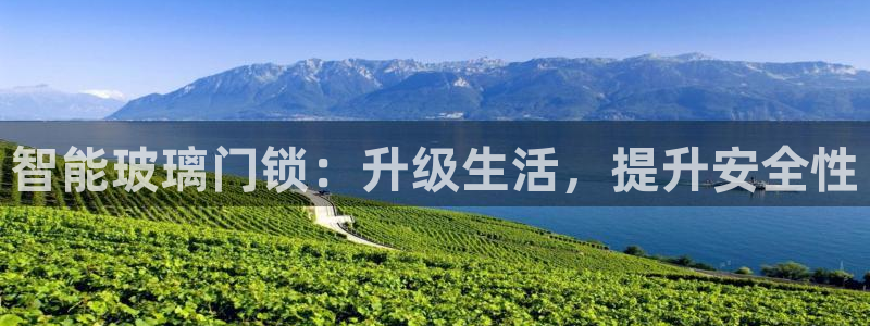 富联娱乐系究7276O：智能玻璃门锁：升级生活，提升安全性
