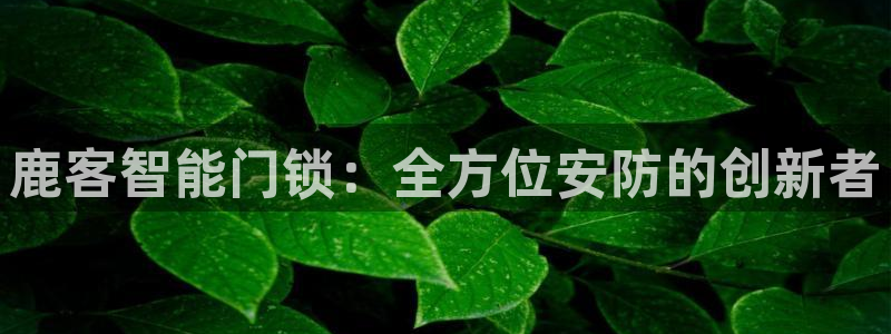 富联娱乐下载官网网址：鹿客智能门锁：全方位安防的创新者