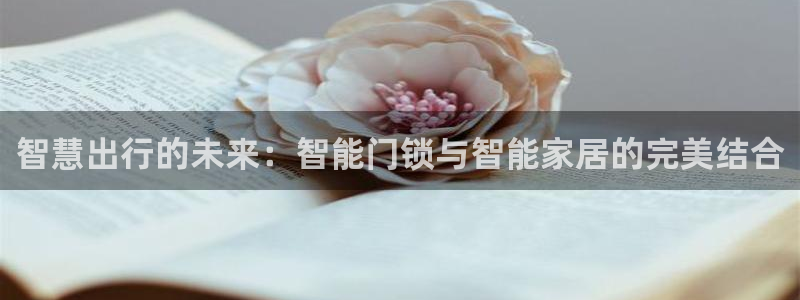 富联娱乐总裁简介资料：智慧出行的未来：智能门锁与智能家居的完