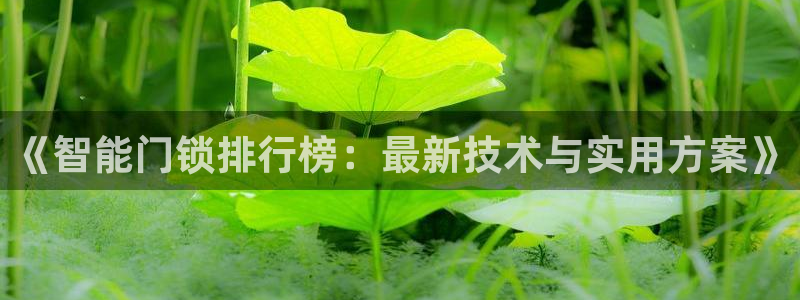 富联娱乐首页在哪看直播：《智能门锁排行榜：最新技术与实用方案