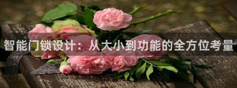 富联娱乐招商地判官333OO：智能门锁设计：从大小到功能的全