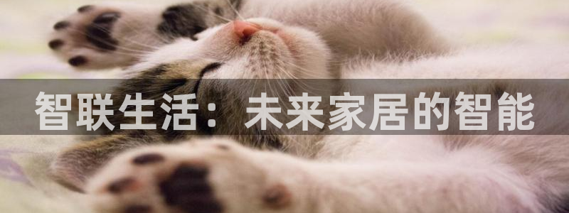 富联娱乐了67OO6：智联生活：未来家居的智能